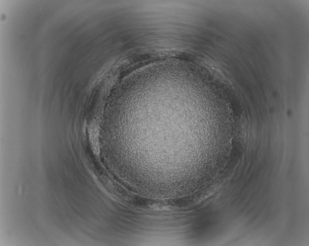 X0000083980742200703021911