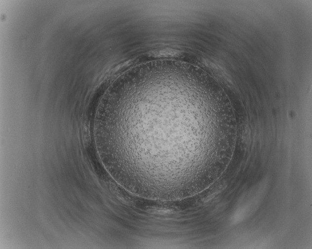 X0000083980743200703021911