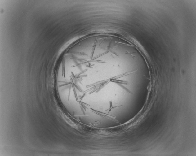 X0000083980787200703021911