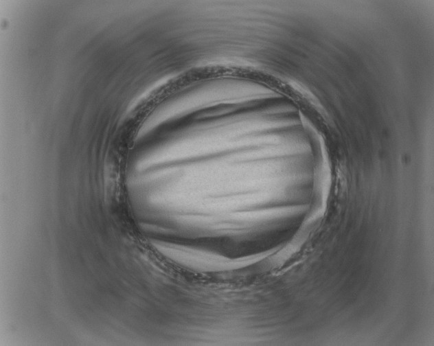 X0000083980872200703021909