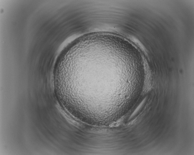 X0000083981072200703021906