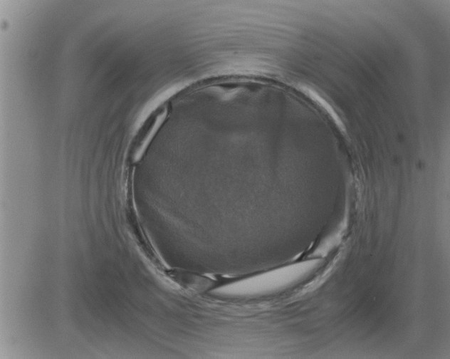 X0000083981077200703021906