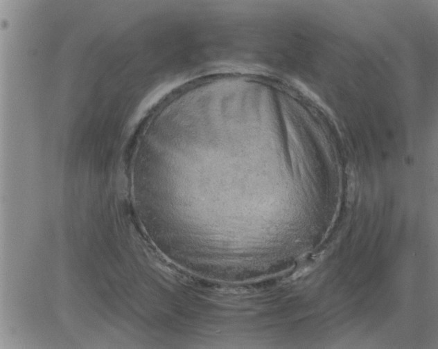 X0000083981215200703021903