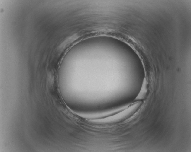 X0000083981257200703021902