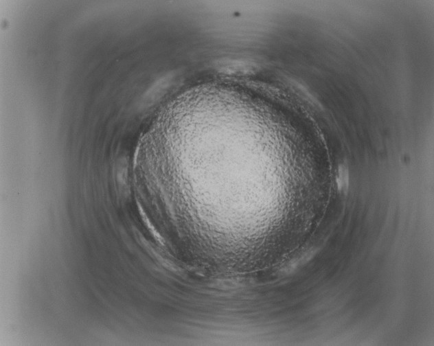 X0000083981396200703021859