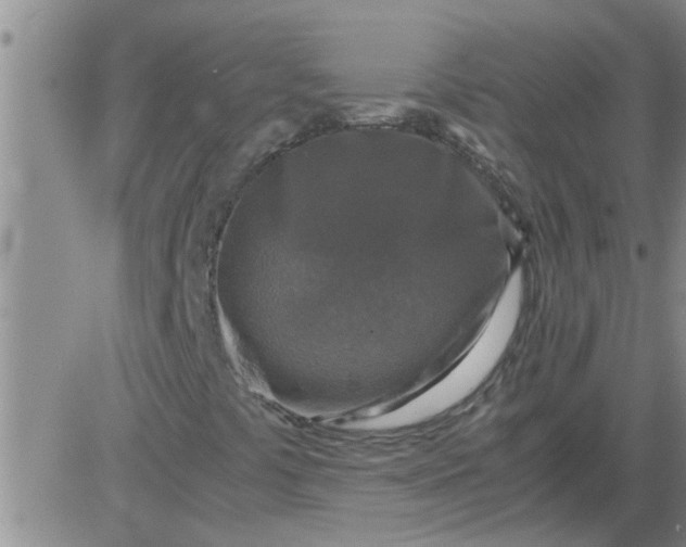 X0000083981441200703021859