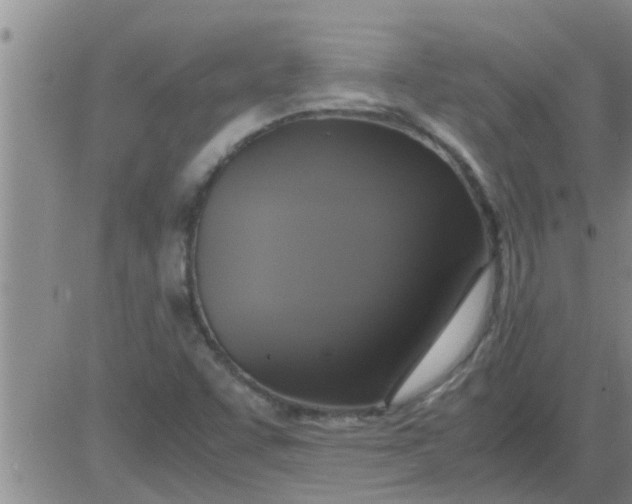 X0000083981455200703021859