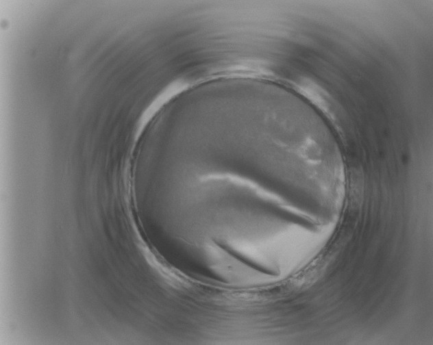 X0000083981474200703021858
