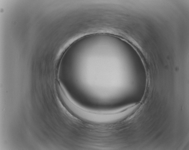 X0000083981500200703021858