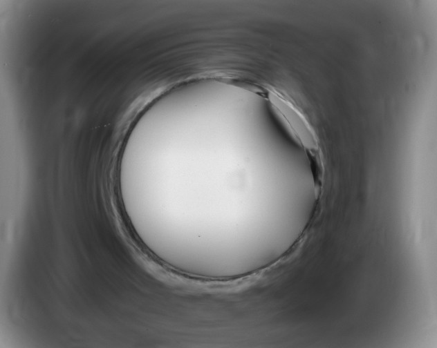 X0000083980001200703091834