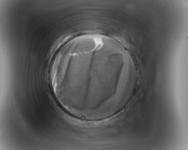 X0000083980002200703091834