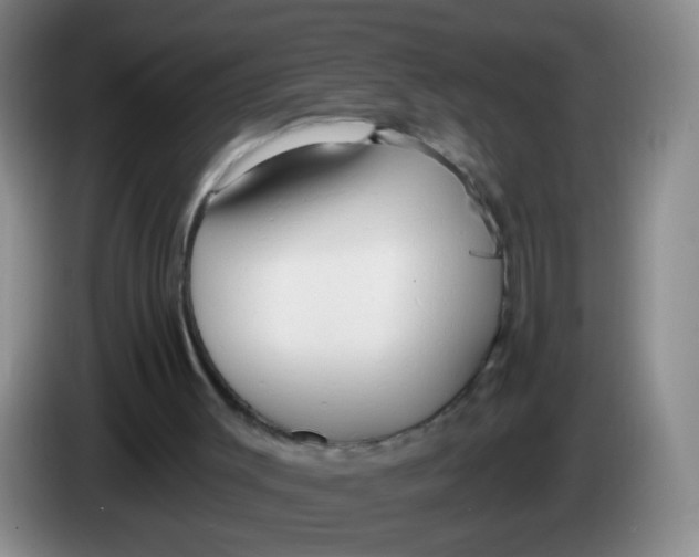 X0000083980003200703091834