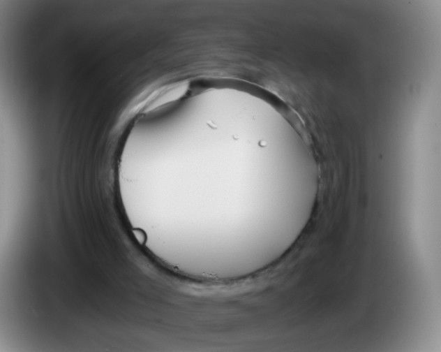 X0000083980005200703091834