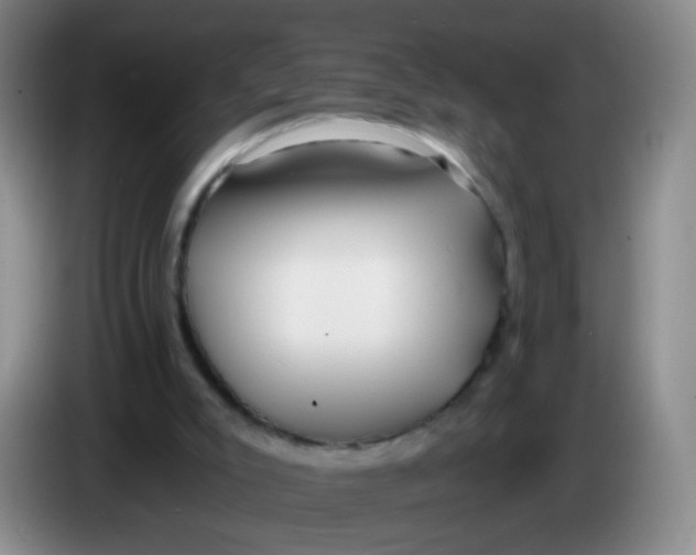 X0000083980007200703091834