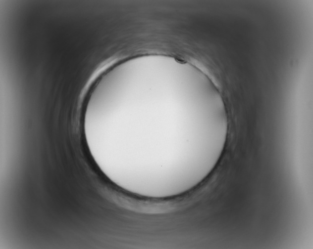 X0000083980008200703091834