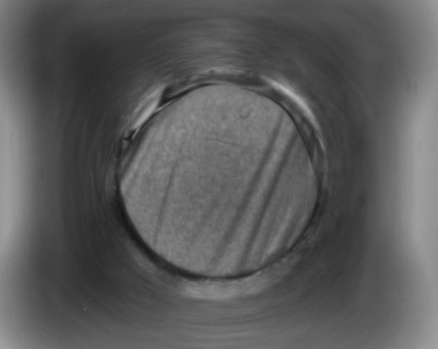 X0000083980009200703091834