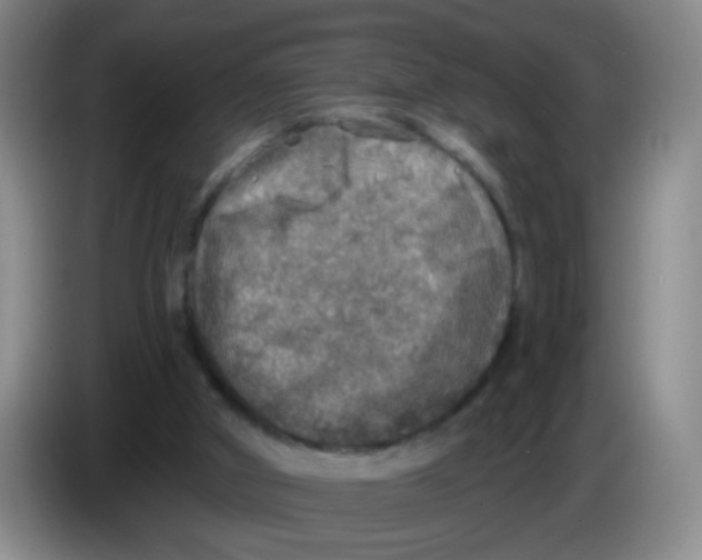 X0000083980010200703091834