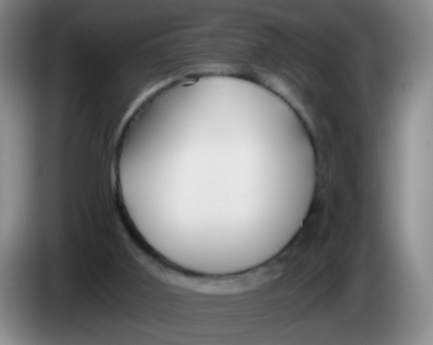 X0000083980011200703091834