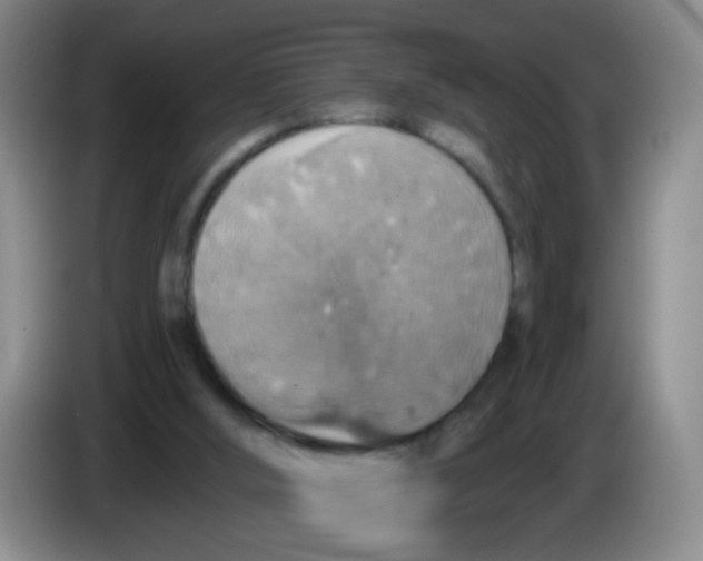 X0000083980012200703091834