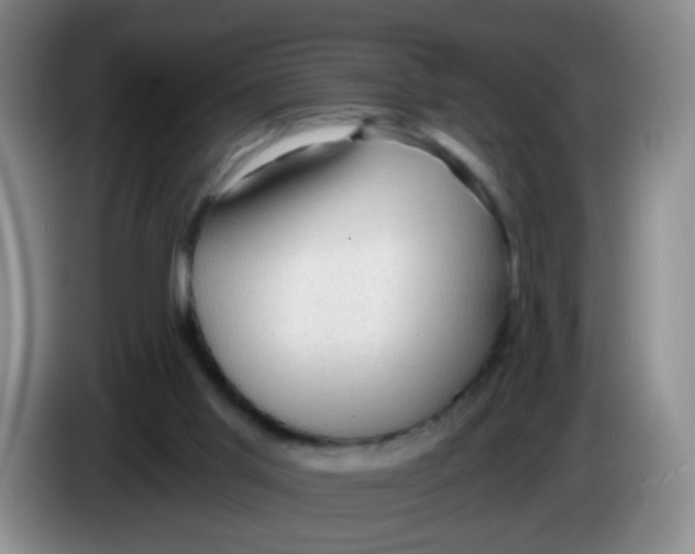 X0000083980013200703091834