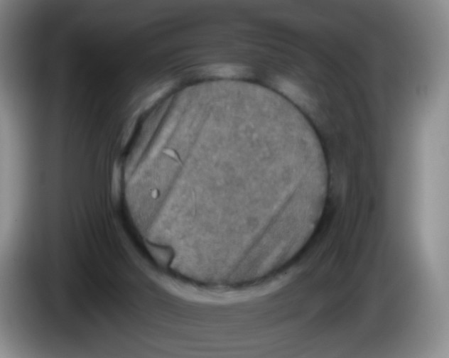 X0000083980014200703091834