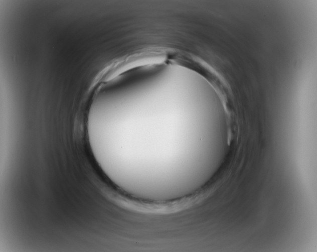 X0000083980015200703091834