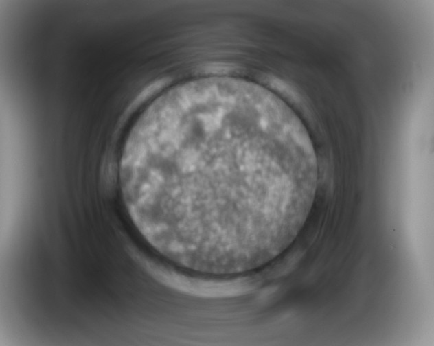 X0000083980016200703091834