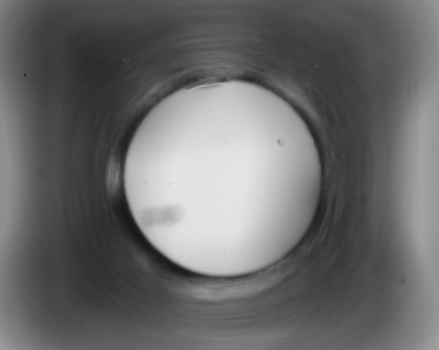 X0000083980021200703091833