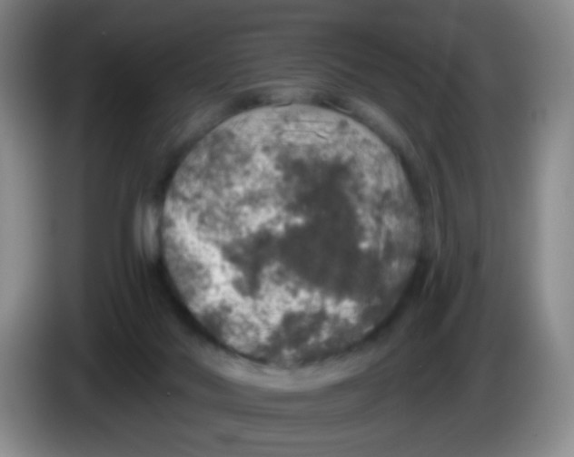 X0000083980022200703091833