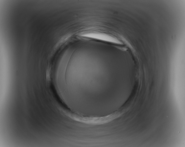 X0000083980023200703091833