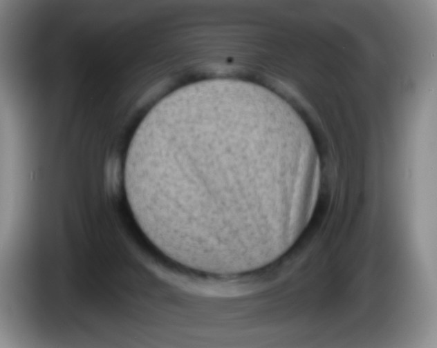 X0000083980024200703091833