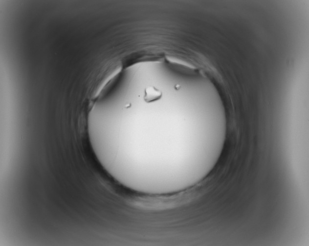 X0000083980025200703091833