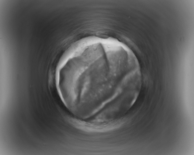 X0000083980026200703091833