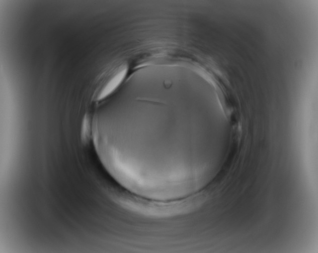 X0000083980027200703091833