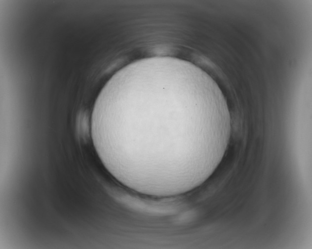 X0000083980028200703091833