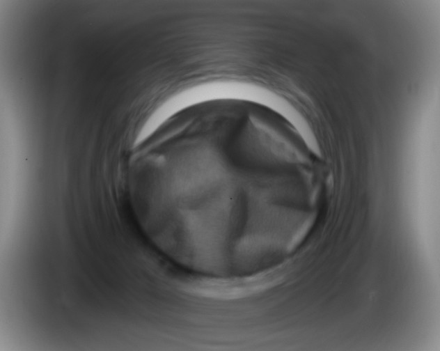 X0000083980029200703091833