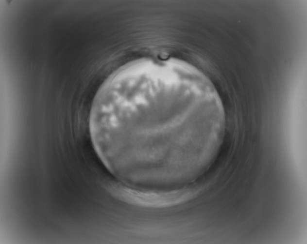 X0000083980030200703091833