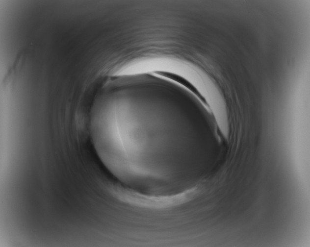 X0000083980031200703091833