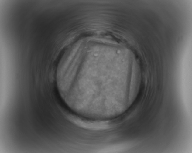 X0000083980032200703091833