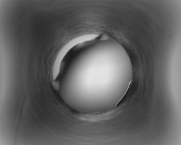 X0000083980033200703091833