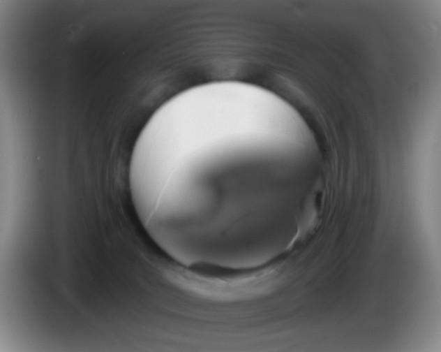 X0000083980035200703091833