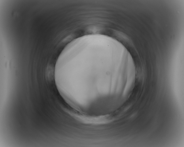 X0000083980036200703091833