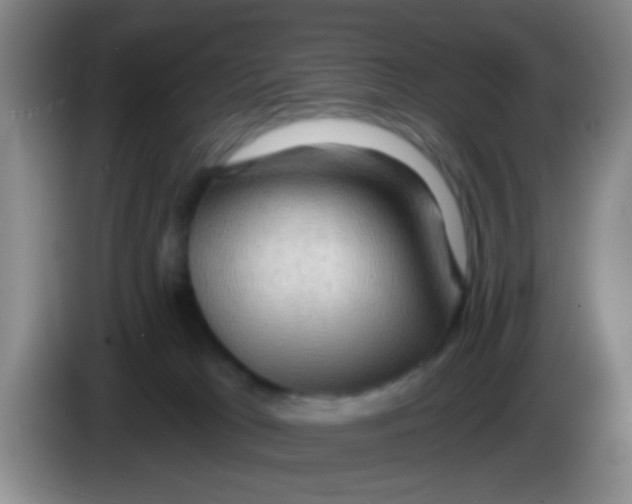 X0000083980037200703091833