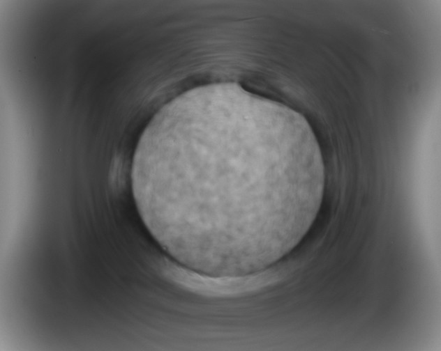 X0000083980038200703091833