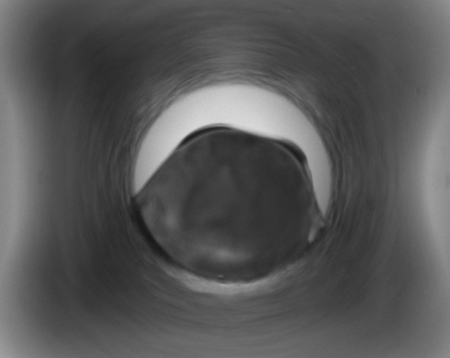 X0000083980039200703091833