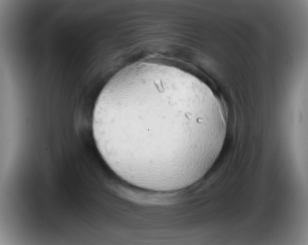 X0000083980040200703091833