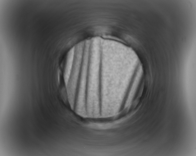 X0000083980041200703091833