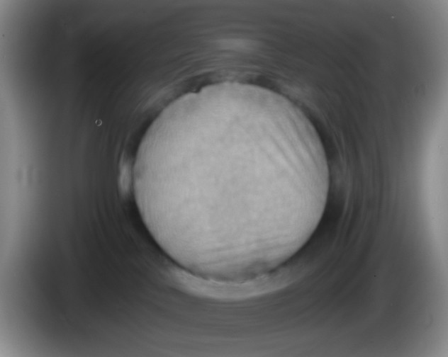 X0000083980042200703091833