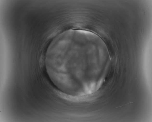 X0000083980043200703091833