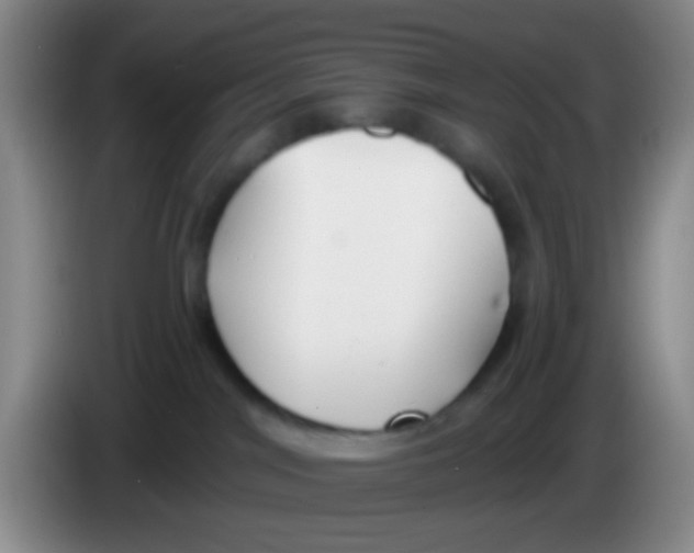 X0000083980044200703091833